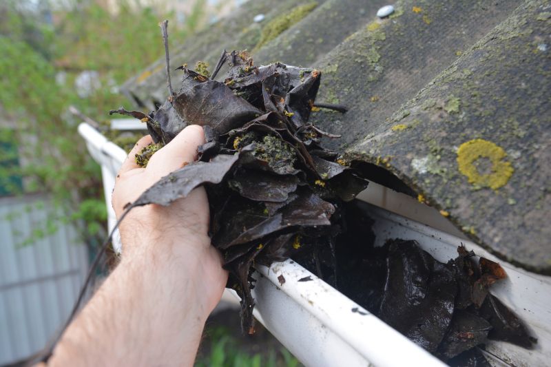 Clogged Gutter Clearing in Arvada, CO