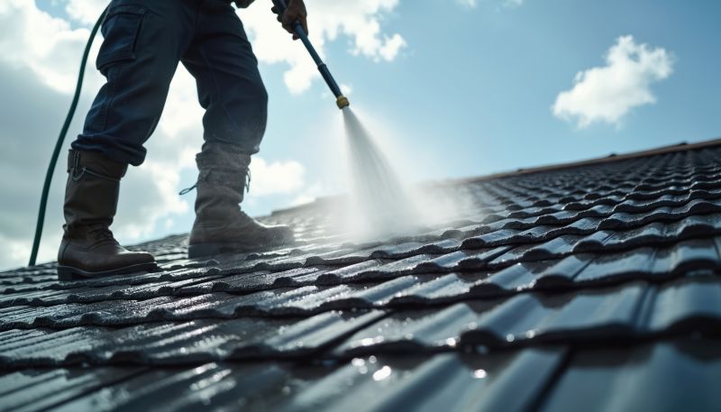 Roof Power Washing detail