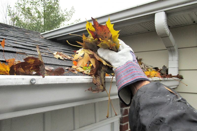 Gutter Cleaning in Frederick, MD
