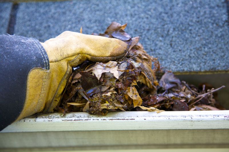 Gutter Leaf Clearing in Longmont, CO