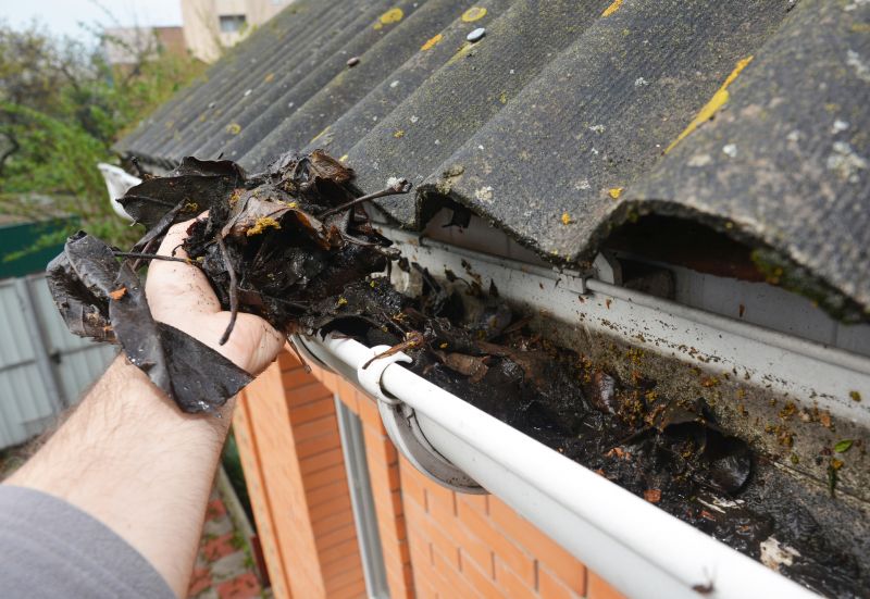 Gutter Leaf Clearing in Arvada, CO
