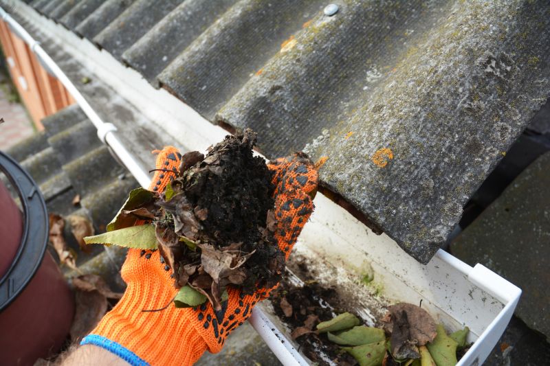 Rain Gutter Clearing in Annapolis, MD