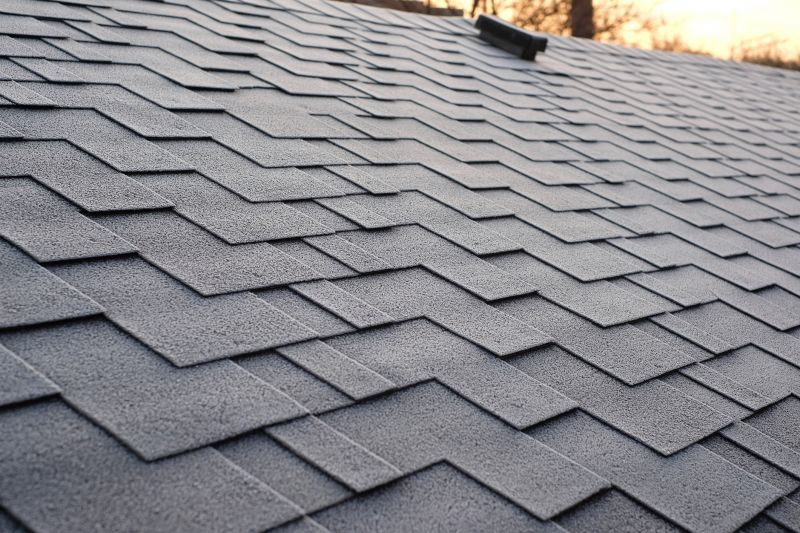 Roof Algae Removal in Vancouver, WA