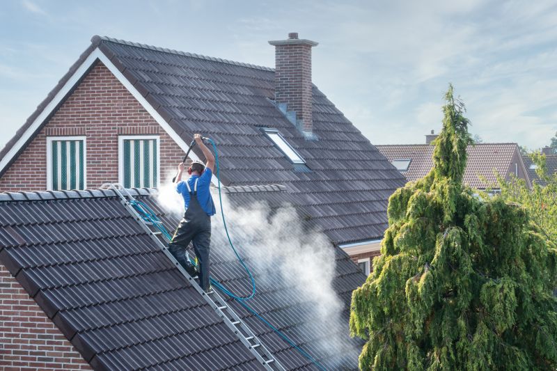 Roof Power Washing